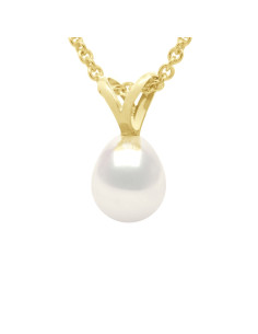 Pendentif V Or 750/1000èmes...