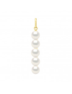 Pendentif 5 Véritables...