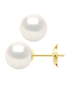 Boucles d'Oreilles Perle de...