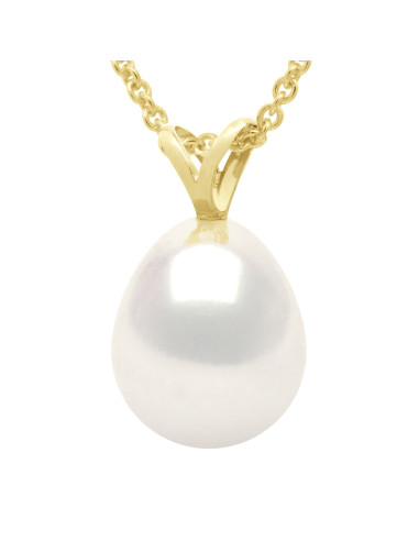 Pendentif V Or 375/1000èmes et...