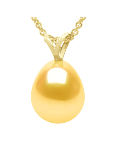 Pendentif V Or 375/1000èmes et...